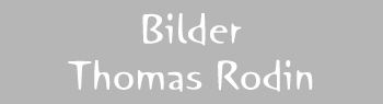 Bilder
Thomas Rodin